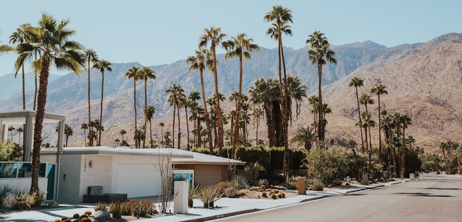 Mid-Century Modern home exterior with palm trees and mountains in background